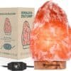 Dimbare Zoutlamp 2-3KG Himalayazout– Tafellamp – Sfeerlamp – Zoutsteen Nachtlampje – Dimbaar – Incl. E-book – Kerstcadeau